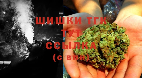 дживик Долгопрудный