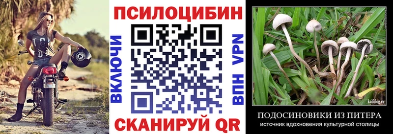 Купить  Тихорецк  Псилоцибиновые грибы прущие грибы 